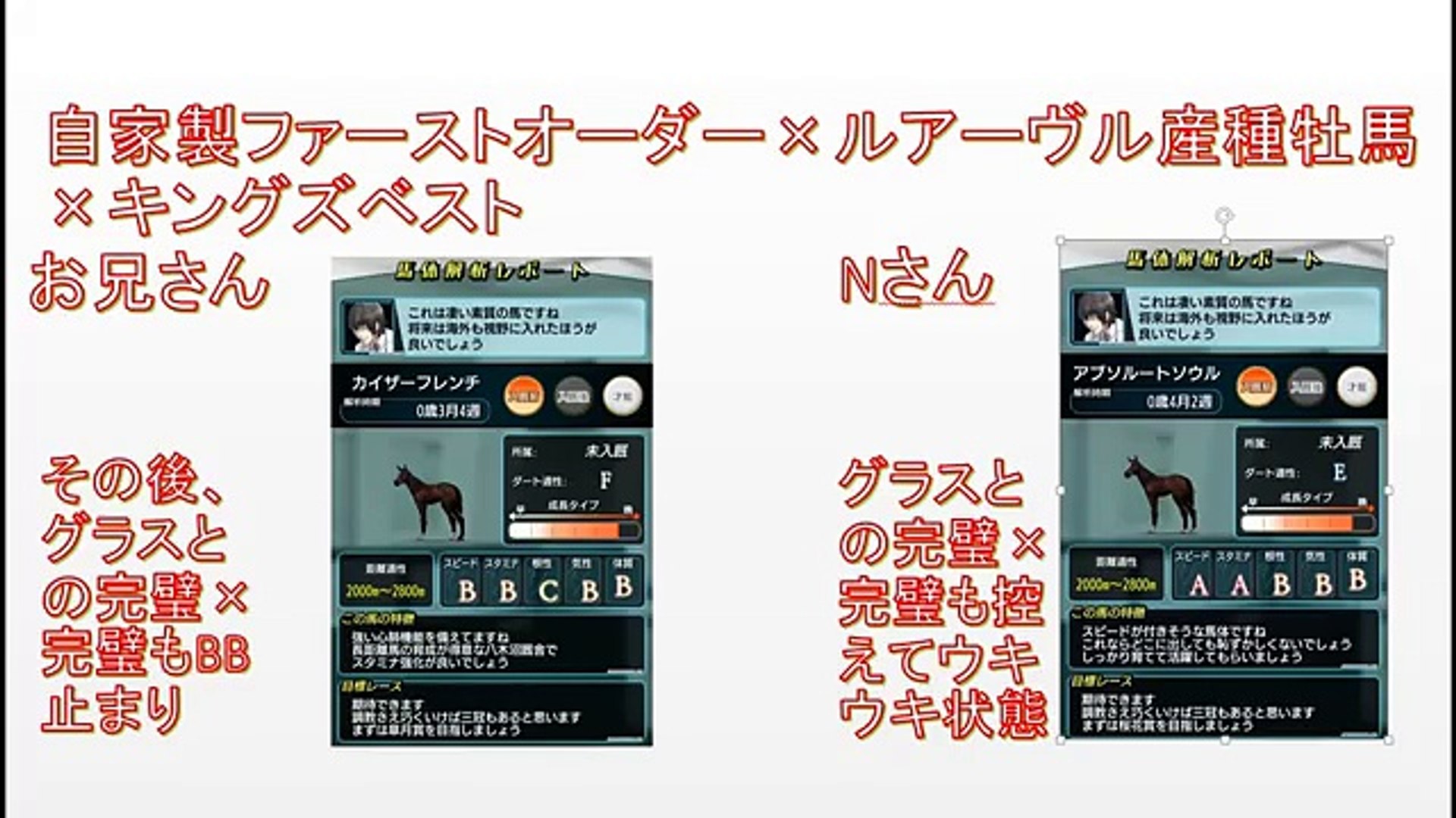 ダビマス ジャワゴールドの素晴らしさ 使い方について解説 第91回ダービースタリオンマスターズ攻略 Video Dailymotion