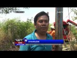Kebakaran Gardu Listrik Di Kembangan Jakarta Barat - NET16