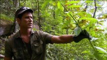 Man Woman Wild S02E10 Newts and Roots French 1080p