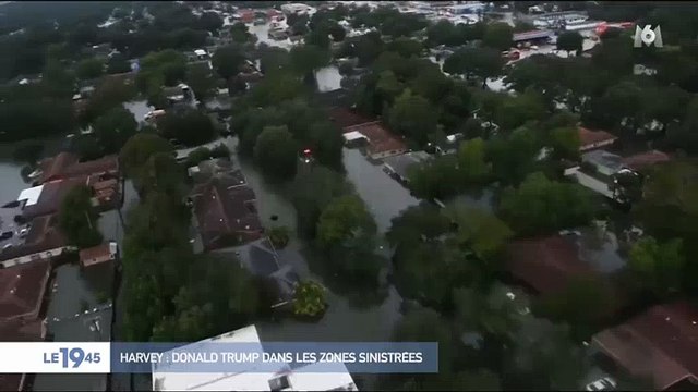 Etats-Unis : Après l'ouragan Harvey, un homme retrouve un alligator dans son salon ! Regardez
