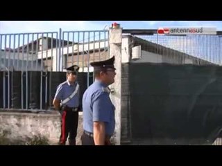 TG 23.09.14 Droga, prendono complice per darlo in pasto ai maiali