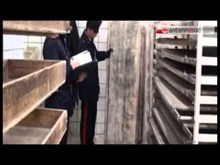 TG 02.10.14 Insetti, muffa e ruggine, chiuso panificio a Carbonara