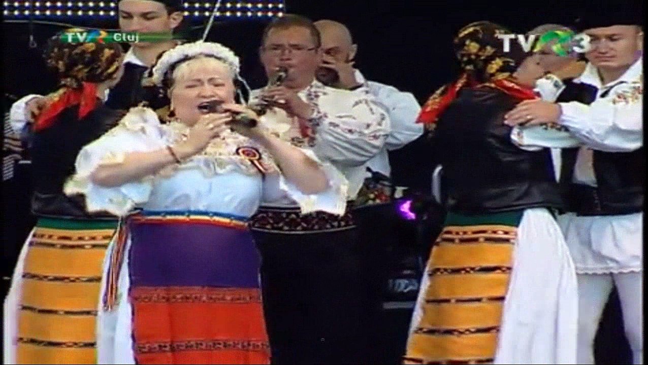 Sava Negrean Brudascu - Recital festivalul Traditii mesesene - Zalau - 2017