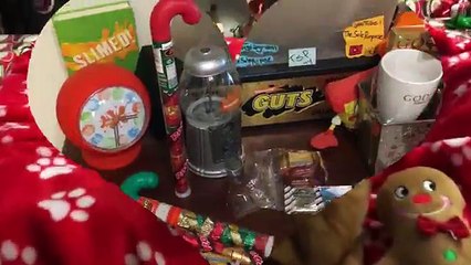 CHRISTMAS MORNING 2016: OPENING PRESENTS PART 1