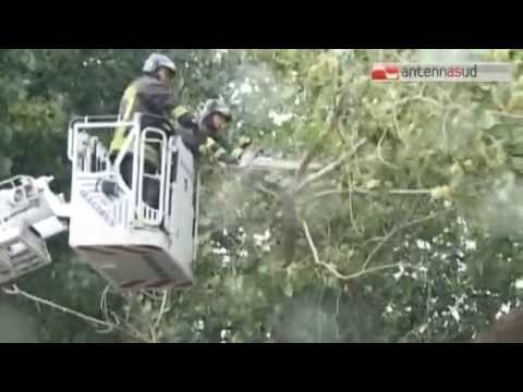 TG 06.11.14 Pioggia e forte vento, molti disagi a Bari