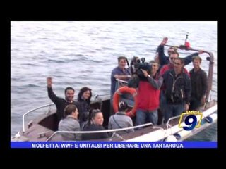 Molfetta: WWF  e UNITALSI per liberare una tartaruga
