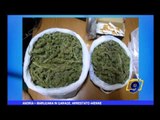 Andria | Marijuana in garage, arrestato 44enne