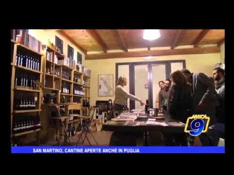 San Martino, cantine aperte anche in Puglia