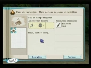 Fou de WII et WIIFIT