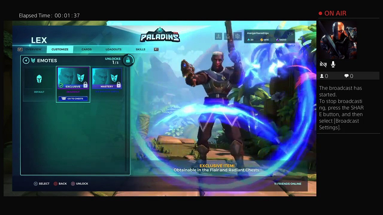 Paladins (32)