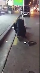 [엘리어스] 해운대 247 앞에서 여자들 싸움 part3