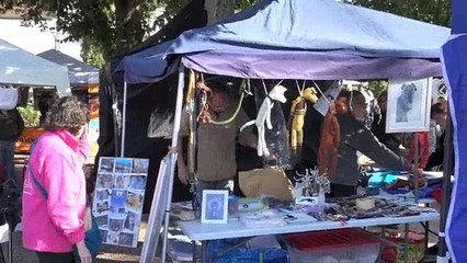 Manifestation contre la vivisection animale à Auxerre