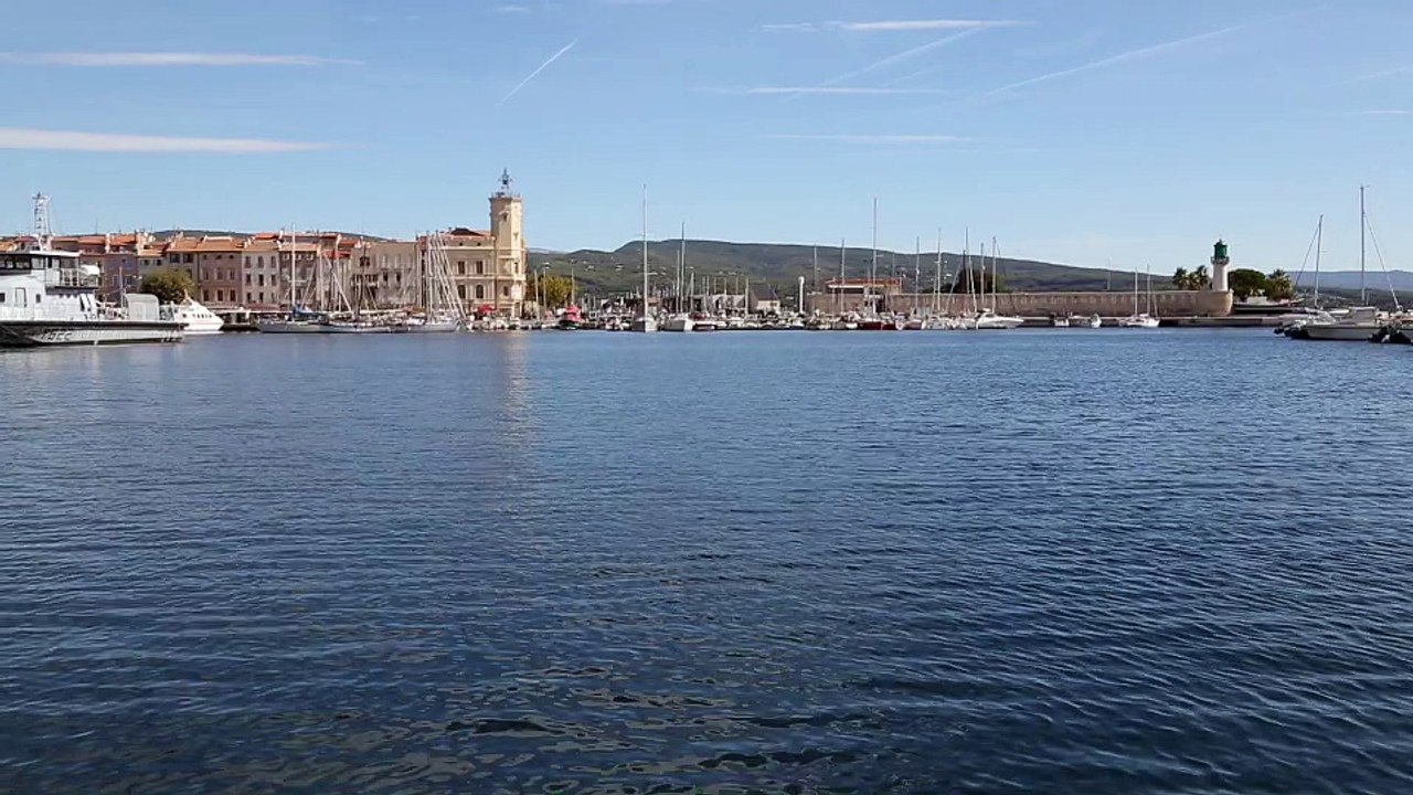 La Ciotat : le dauphin se promène toujours dans le port