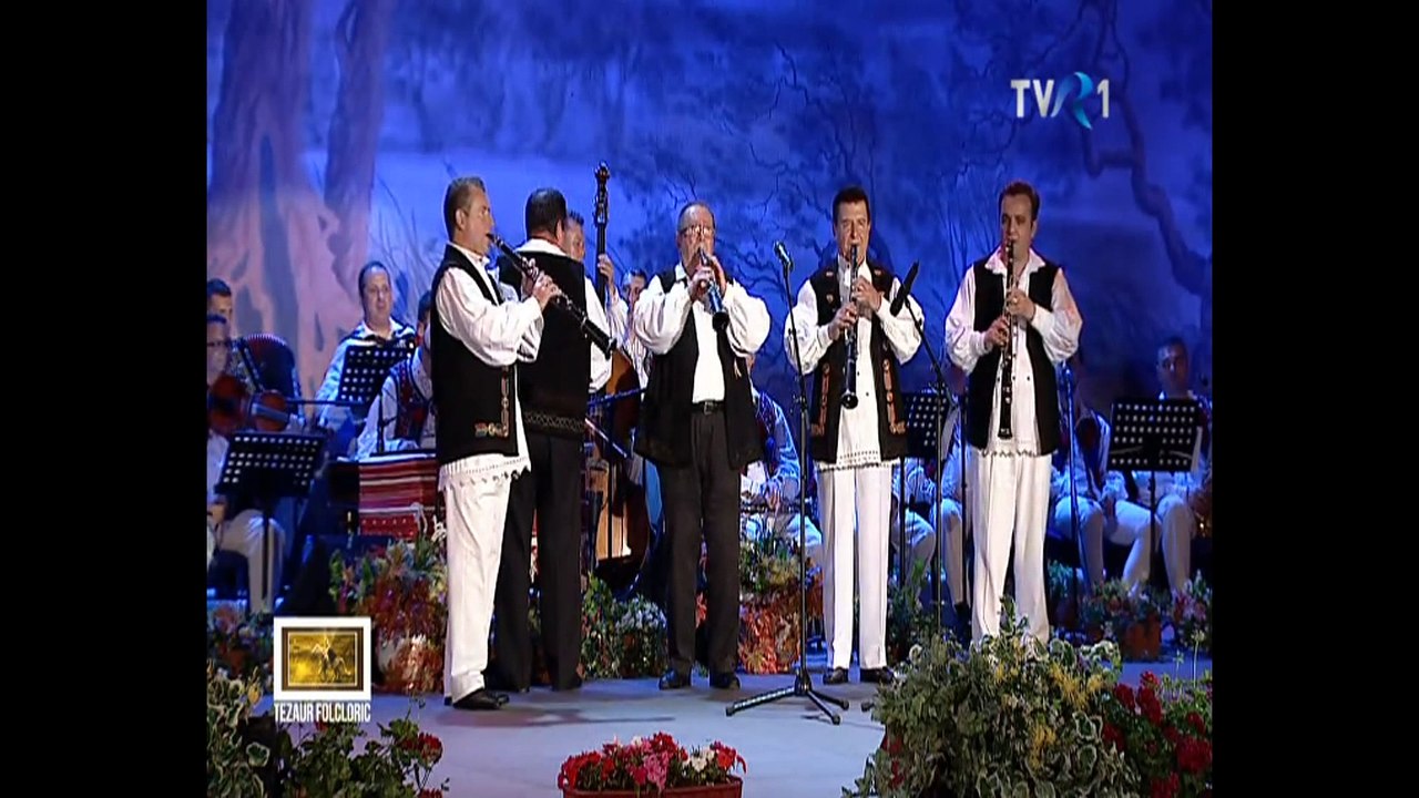 Dumitru Dobrican, Dumitru Fărcaş, Ioan Berci şi Dan Gâdea - Moment inedit - live - Tezaur Folcloric