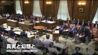 【面白い国会】加戸氏の発言を利用される事態に！加計学園をめぐる共産党小池晃議員の質疑！【真実と幻想と】