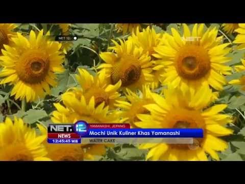 Water Cake Khas Yamanashi di Musim Panas -NET12