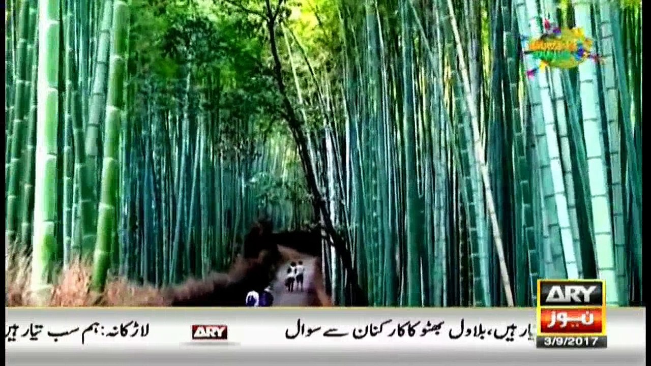 Amazing Dunya 3rd September 2017