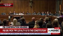 Al Franken uses FBI hearing to destroy conservatives latest defense of Trump Jr