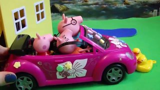 Dans le Prince Peppa Pig papa apprendre à conduire la maison tortue Pepa