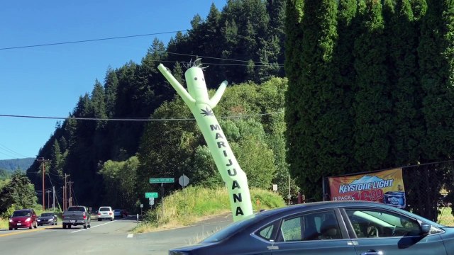 USA.. le pays des grands bonhommes gonflables marijuana LOL