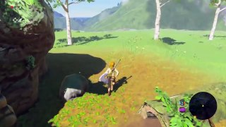 USE THE BEES THEY SAID, IT WILL BE FINE THEY SAID! | The Legend of Zelda Breath of the Wil