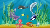 Niños para y el desarrollo de los animales marinos de dibujos animados aprender a jugar