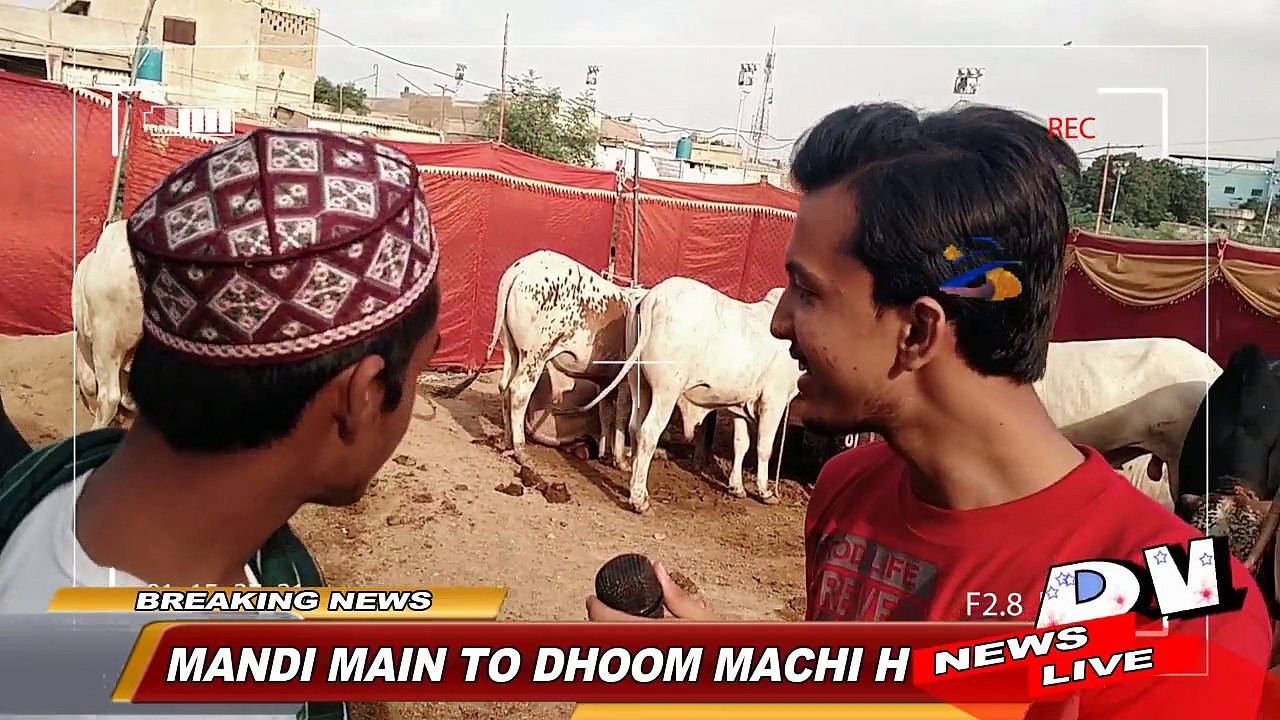 Eid-Ul-Azah Special Video ! Desi Vynz Karachi ! Funny