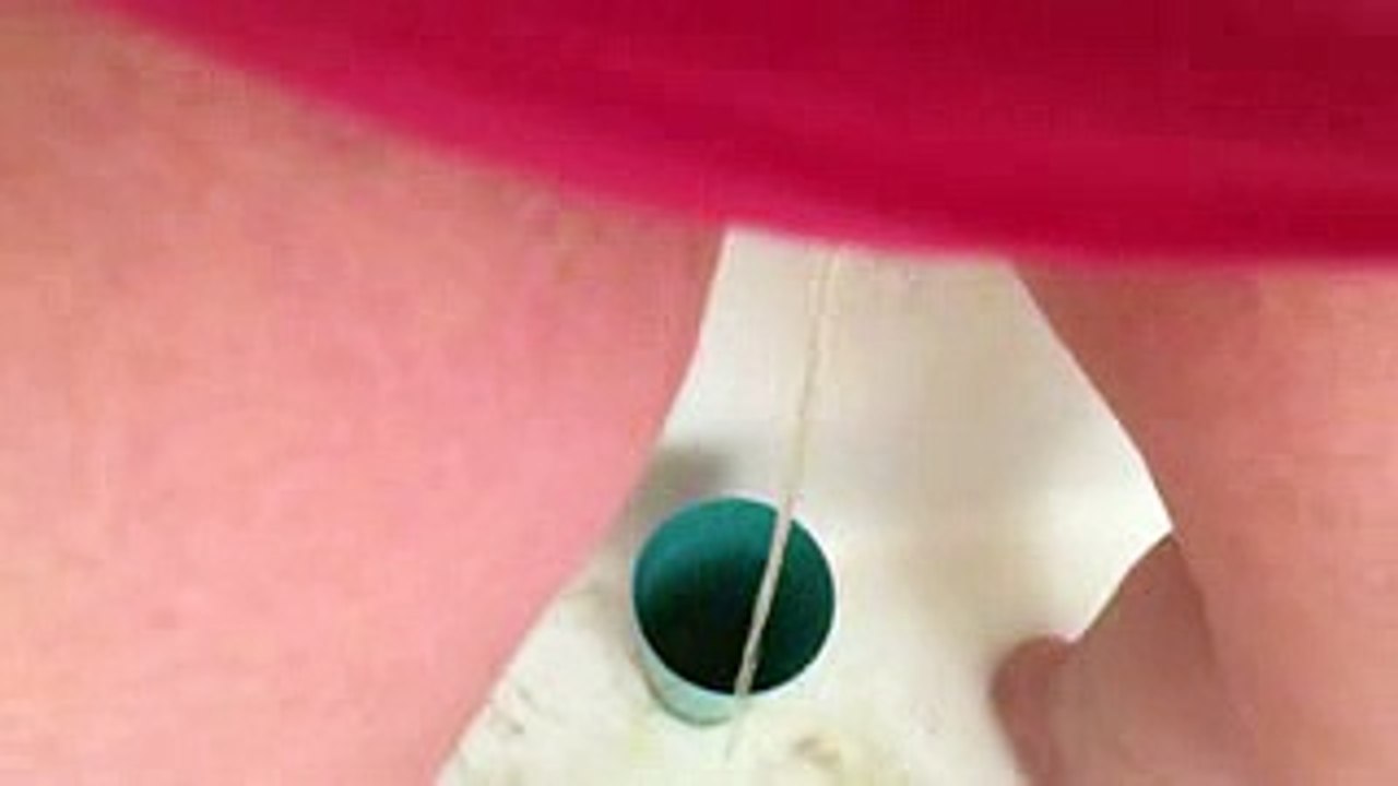 pee in a cup