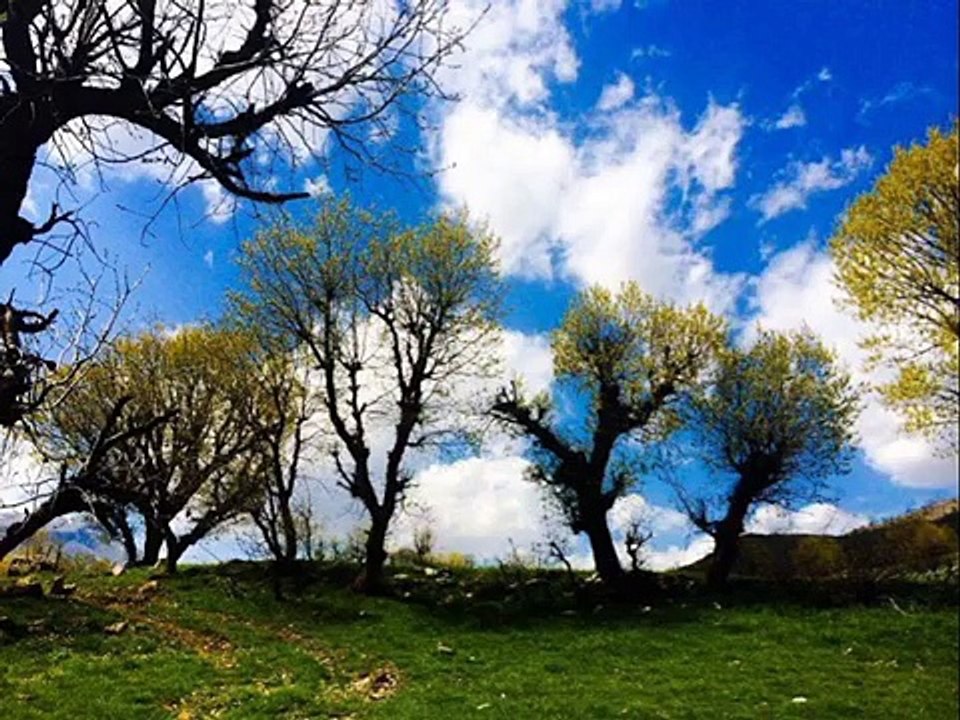 حه سه ن زيره ك / هات بە لە نجە / ئیزگە ی بە غدا
