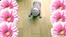 NEW Baby Annabell Learns to walk doll - Baby Doll Crawls, laughs and Cries just like a rea