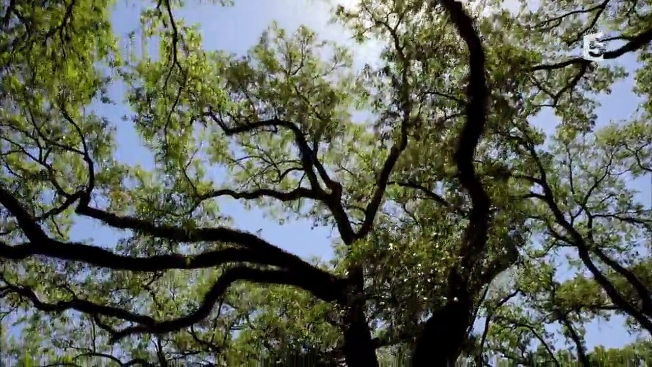 Au coeur du cerveau - Saison 1 - Suis-je maître de moi-même?