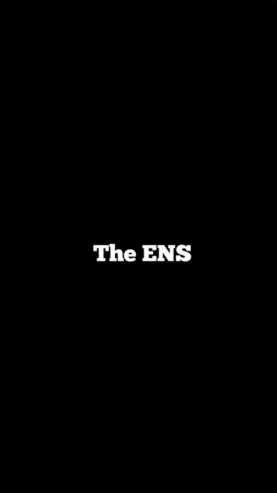 L'ECOLE est revenue - The ENS