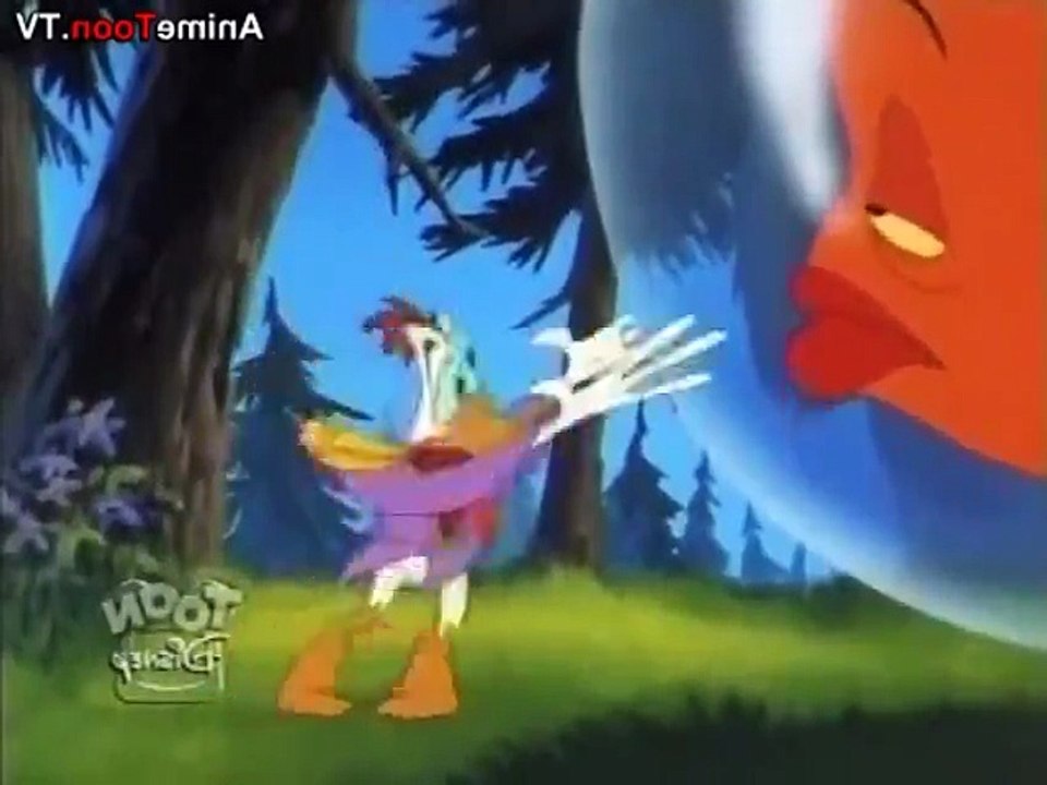 Quack Pack E 13