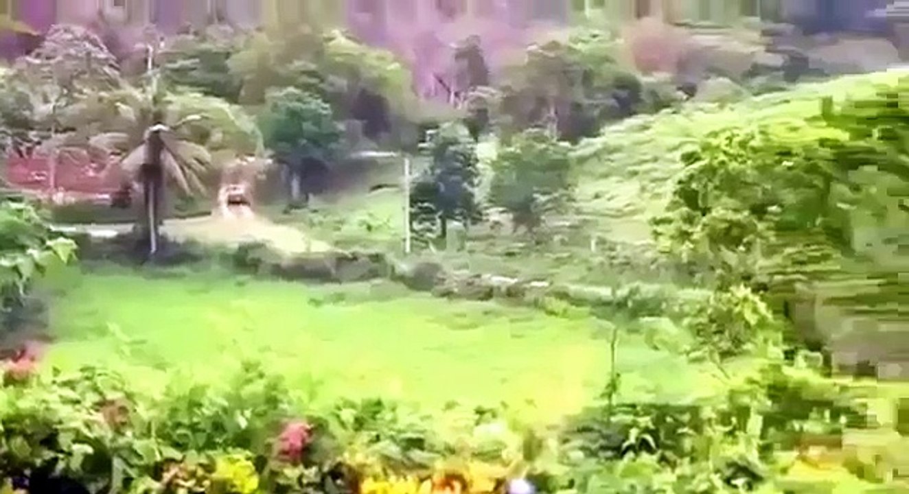 Mutants Zombie Horror Movies  Scary Full Movies  English Subtitles Full Action Movies # 36 , Tv series movies action com