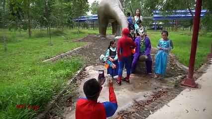 Nữ hoàng Elsa và Anna cùng Người nhện đi chơi hội chợ | Xem cách làm kem cuộn | Ice Cream