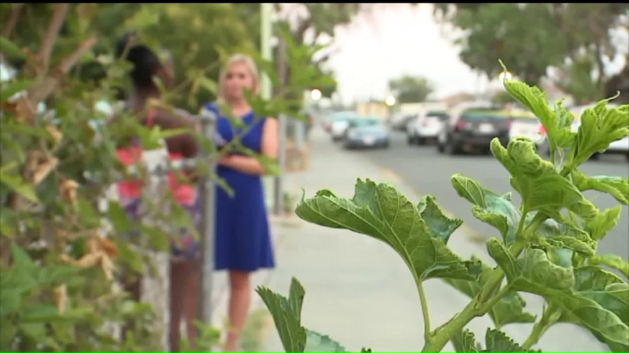 California Man Accused of Beating Ex-Girlfriend, Two Children With Hammer Arrested in Nevada