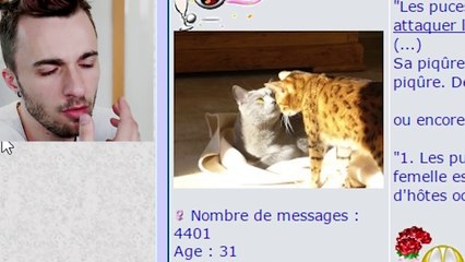 QUE CHERCHENT LES GENS SUR INTERNET ?