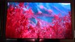 Best TV of 2016- LG 65- 4K OLED + HDR- Unboxing & Review
