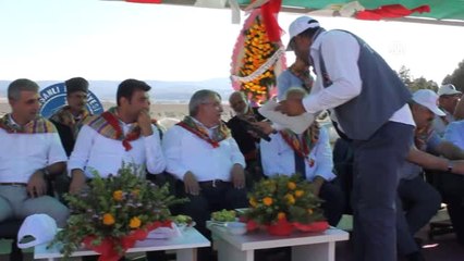 Tavşanlı'da Yağlı Pehlivan Güreşleri