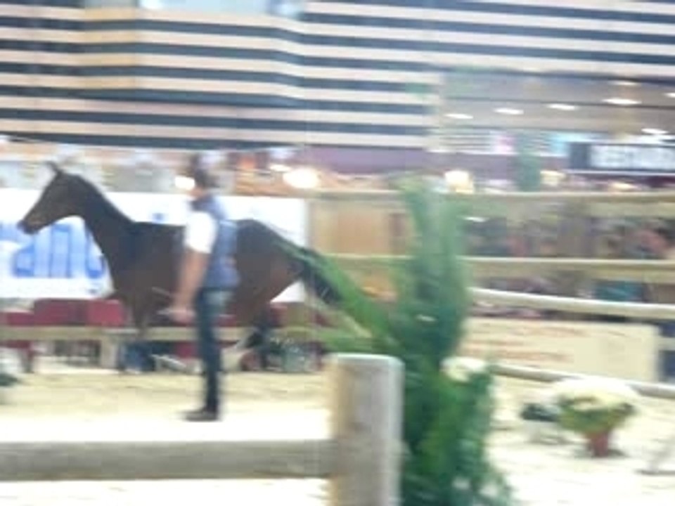 Equita'Lyon