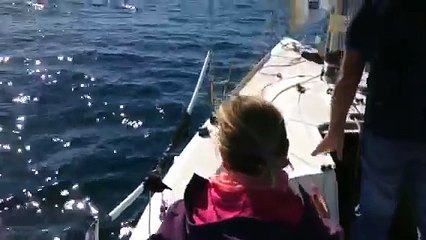 Saving a dog in Naples sea - L'emozionante salvataggio di un cane nel mare di Napoli