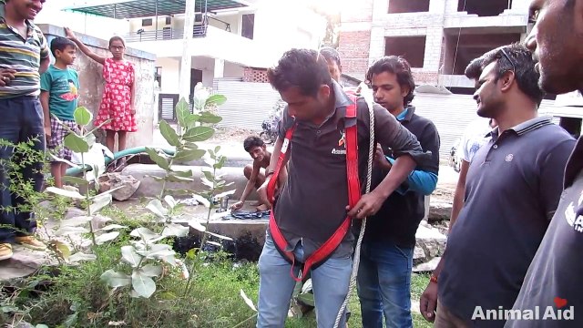 Heartwarming rescue of dog fallen in well - watch when she sees her rescuer