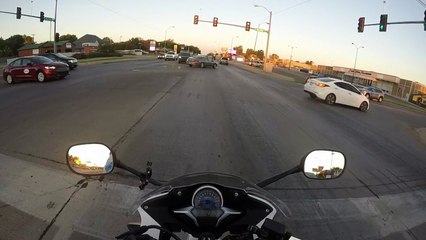 I sound stupid, but I saved a kitten.