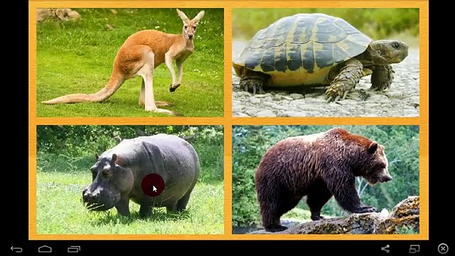 Niños para dibujos animados sobre los coches enseñan a los animales salvajes de dibujos animados en desarrollo entre 12 y 36 UI