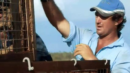 Domando Cocodrilos - Ep3 - Español Latino