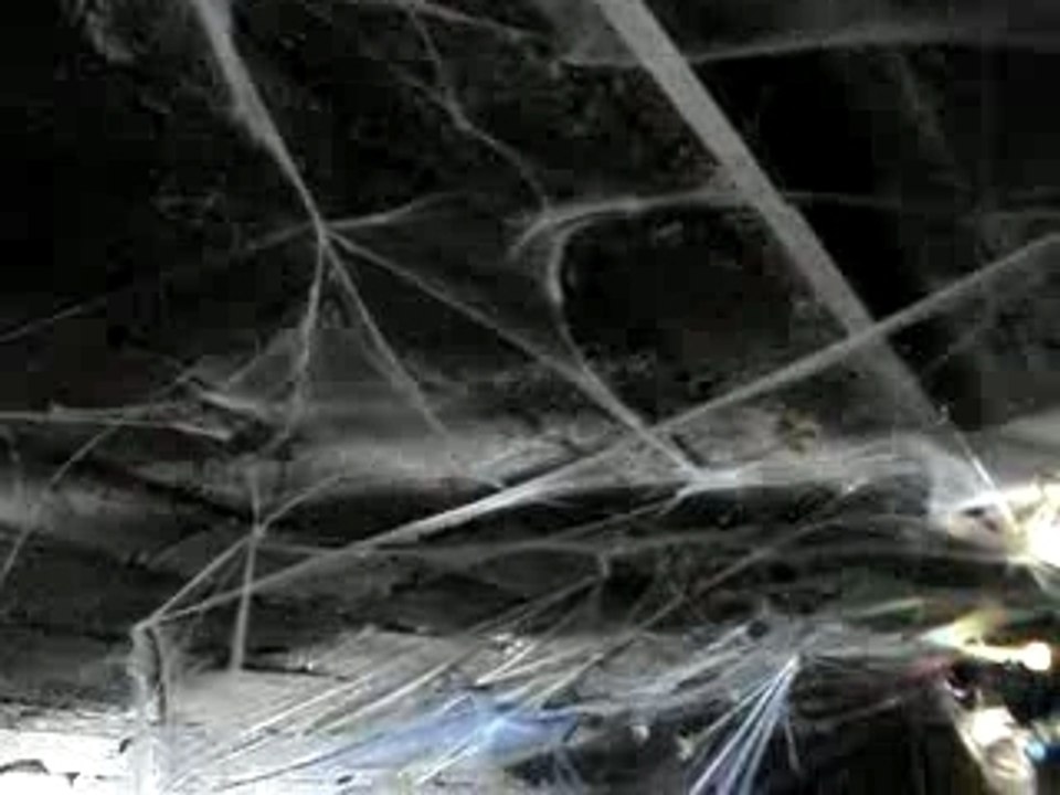 Fiesta RIG 2 au Boeuf Sur Le Toit!