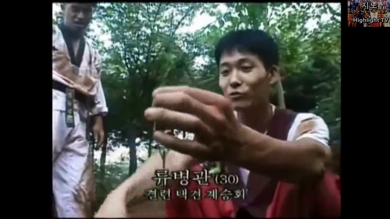외국인이 인정한 택견 한국 무술의 위엄