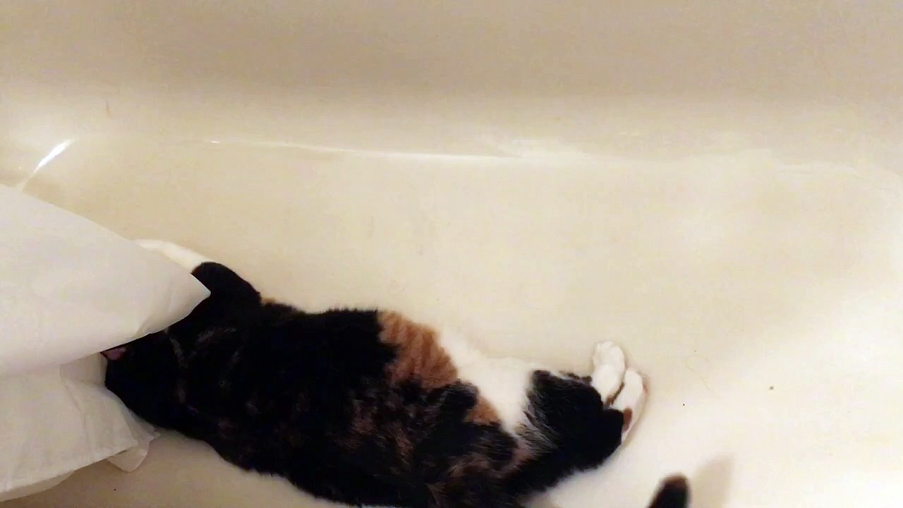 Luna tried to rabbit kick a teeny tiny green fluff