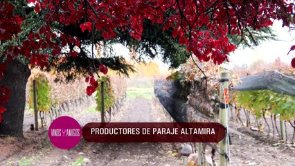 Vinos y Amigos Programa 170 Bloque 2