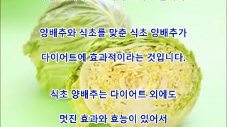 건강 식초 양배추의 효과 효능 4개!절대 먹지 않으면 손해 보는 이유는?